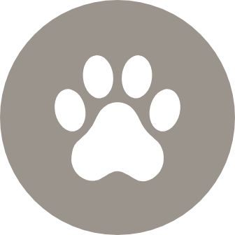 Play with Fido in the dog park
